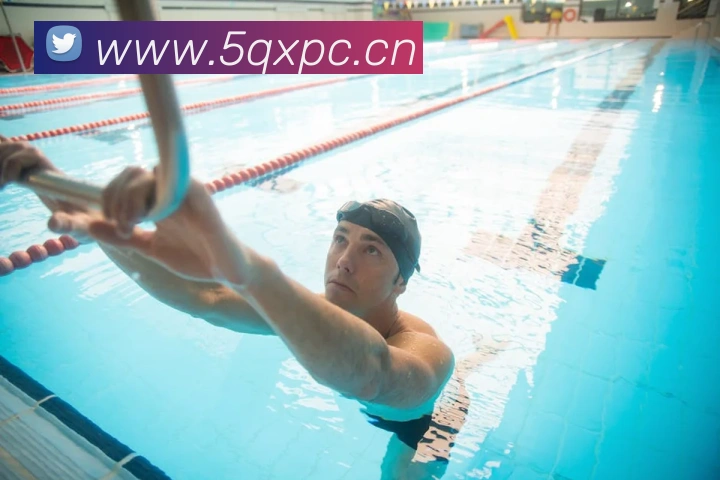 nba在线直播平台生态图